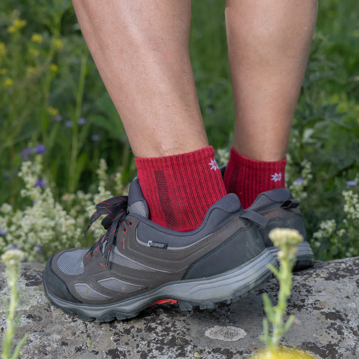 Hiking - Rosso - Calzini bassi (1 paio) - Image 6